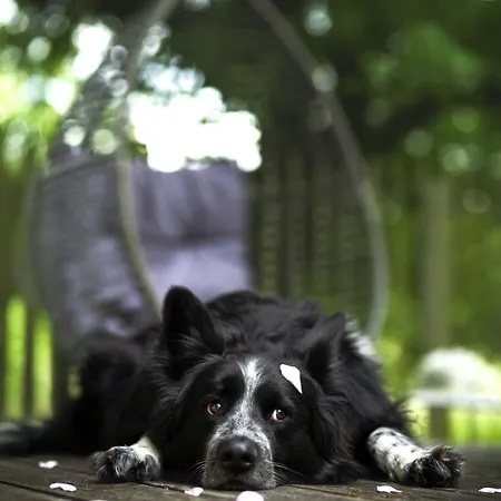 Haus Gruen Lejlighed