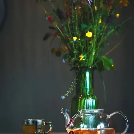 Haus Gruen Lejlighed