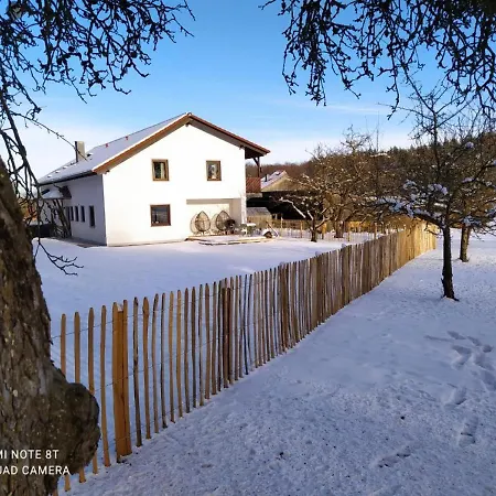 Haus Gruen 公寓