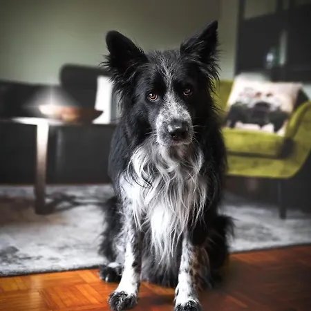 Appartement Haus Gruen Niederstetten