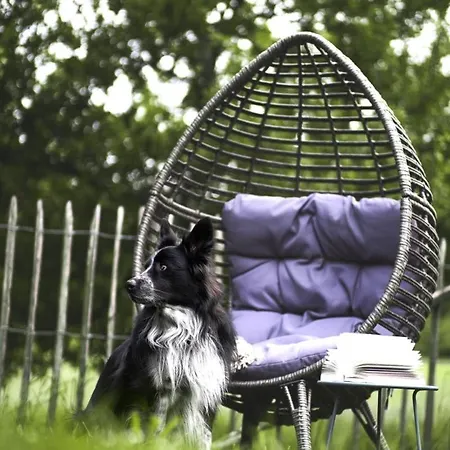 דירה Haus Gruen Niederstetten