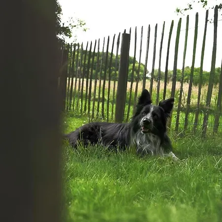 Haus Gruen Appartement *