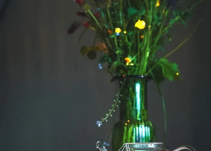 Haus Grün Apartment