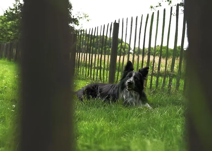 Haus Grün Apartment *