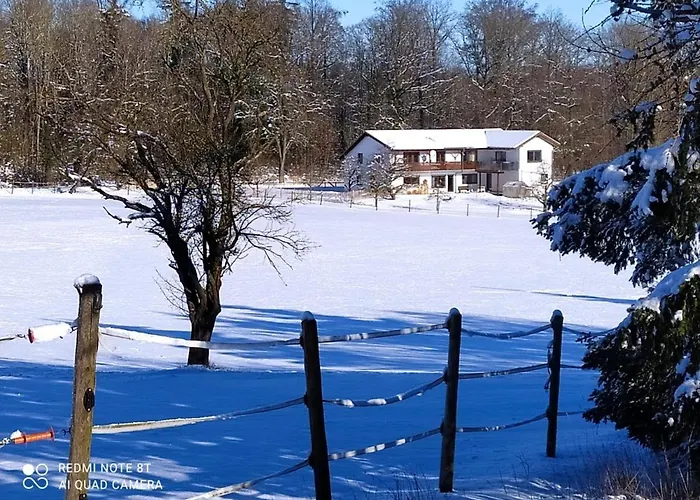 Haus Grün Apartment